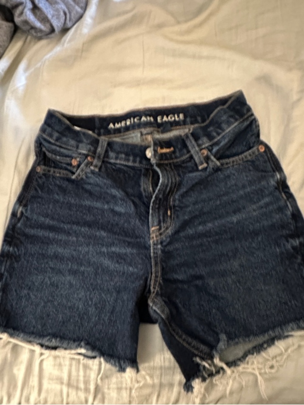 American Eagle Outfitters Dark Indigo Frayed Denim Shorts